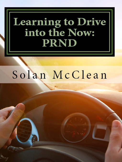 Title details for Learning to Drive into the Now by Solan McClean - Available